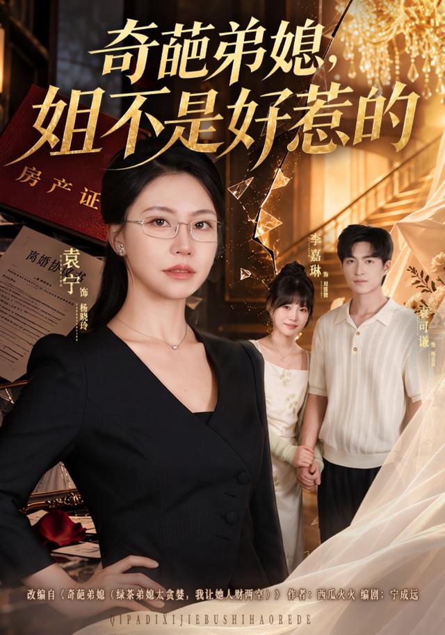 奇葩弟媳，姐不是好惹的海报
