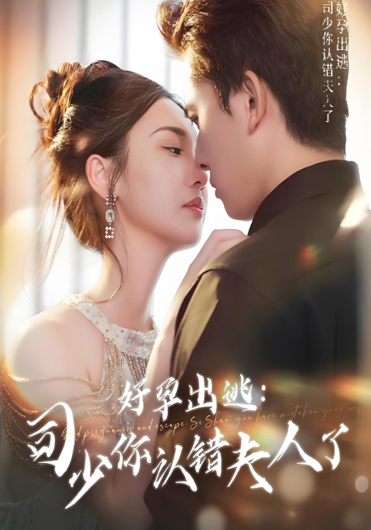 好孕出逃：司少你认错夫人了海报